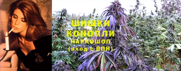 spice Зеленокумск
